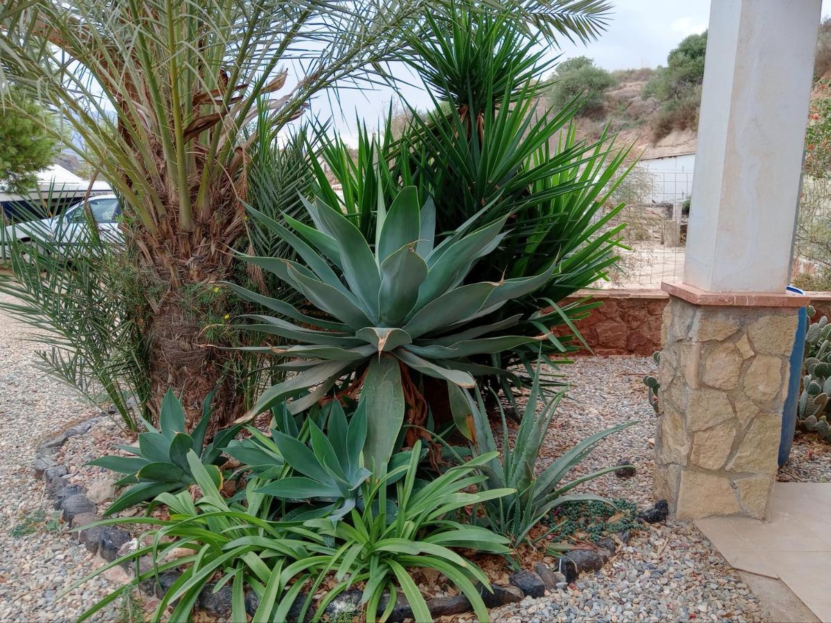 Cortijo Rural Molino El Tarahal Con Piscina Y Zonas Compartidas Exteriör bild