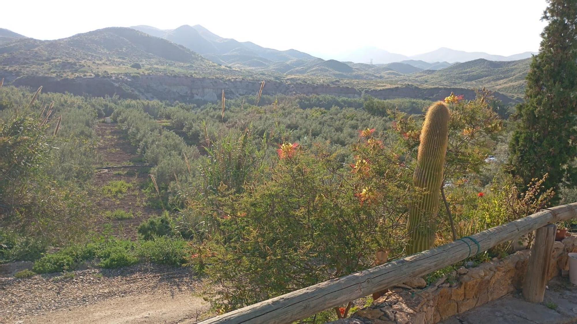 Cortijo Rural Molino El Tarahal Con Piscina Y Zonas Compartidas Exteriör bild